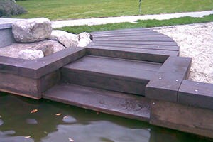 дуб у воді дуб у воді