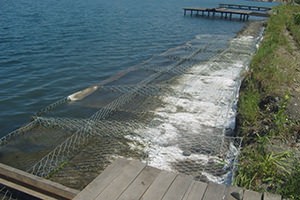 укрепляем берег матрацем рено