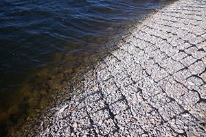 укрепляем берег георешеткой