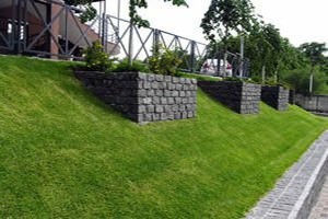 Озеленение склонов Озеленение склонов