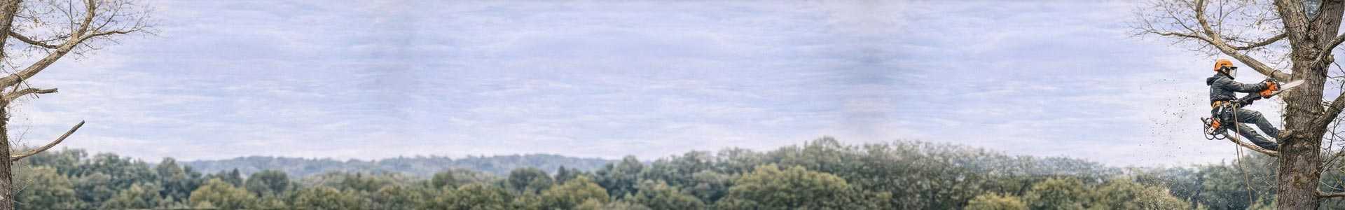 Спилювання та обрізка дерев