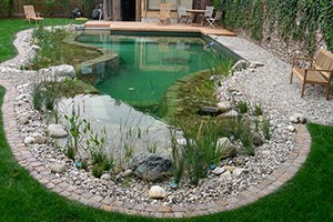 Строительство водоемов Строительство водоемов