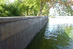 берегоукрепление дубом