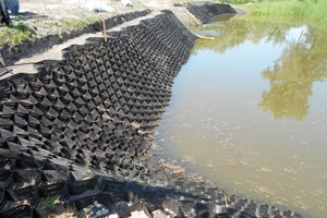 зміцнення берегів ставка георешітки